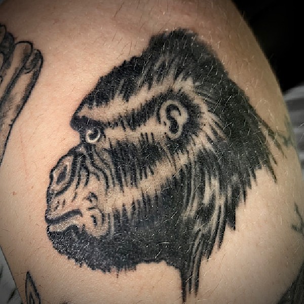 Tatouage Gorille, Old Scooll, full black.<br />
Blue Art Tattoo, tatoueur Aubenas Ardèche 